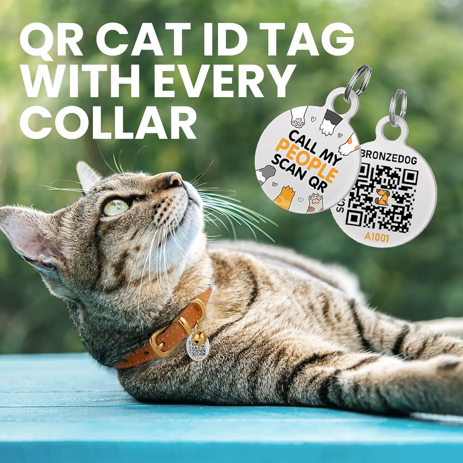 BRONZEDOG Leather Cat Collar with Removable Bells Non Breakaway Kitten QR Tag for Girl Boy (9" - 12" Cats/Mini Dogs, Green & Gold)