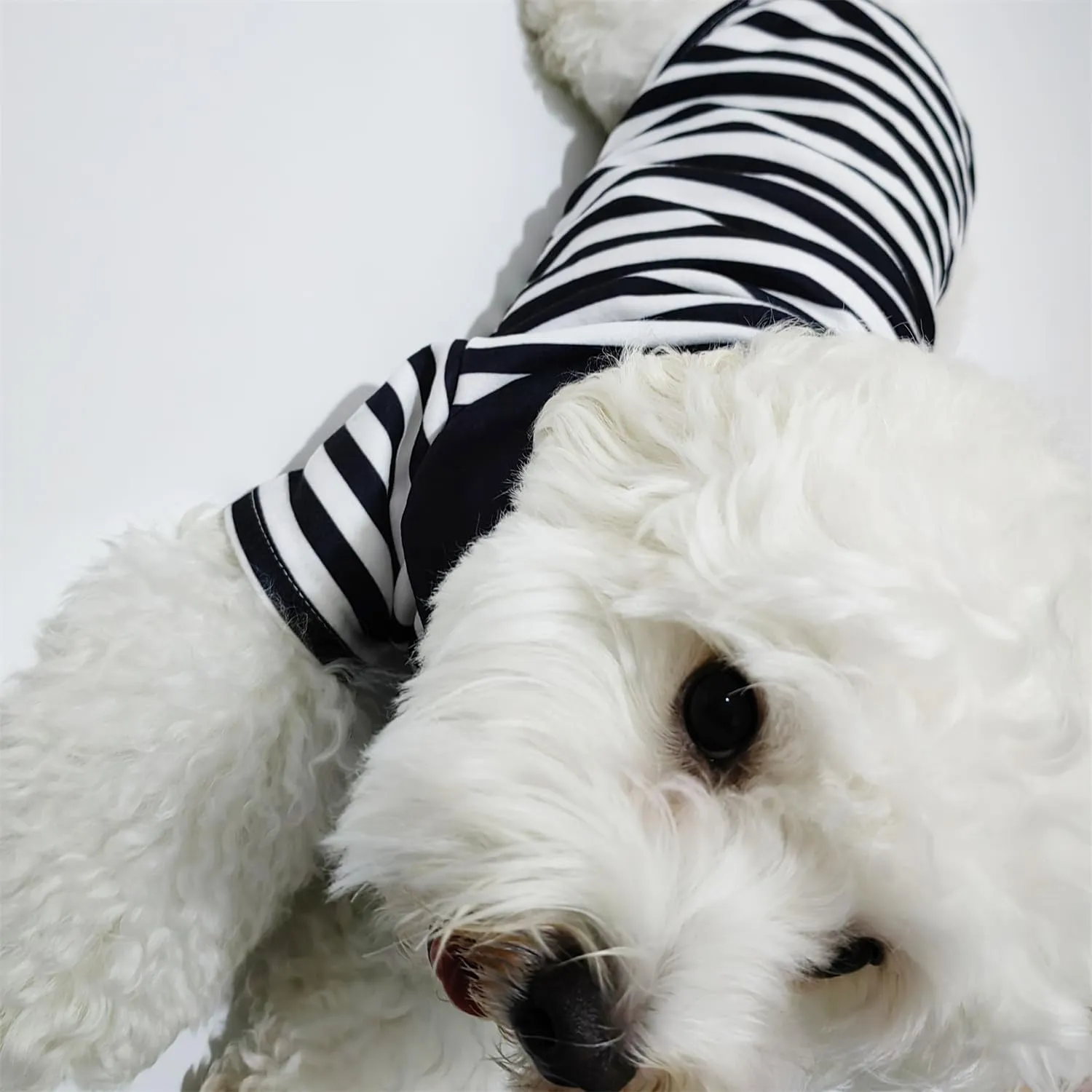 Cute Dog Clothes Striped Dog Polo Shirts Cute Sweater Puppy Clothes Gentle Sweater Pet Clothes for Small Medium Large Dogs Cats (Black Stripe, Medium Size for 5.5-8.5lb Pets)