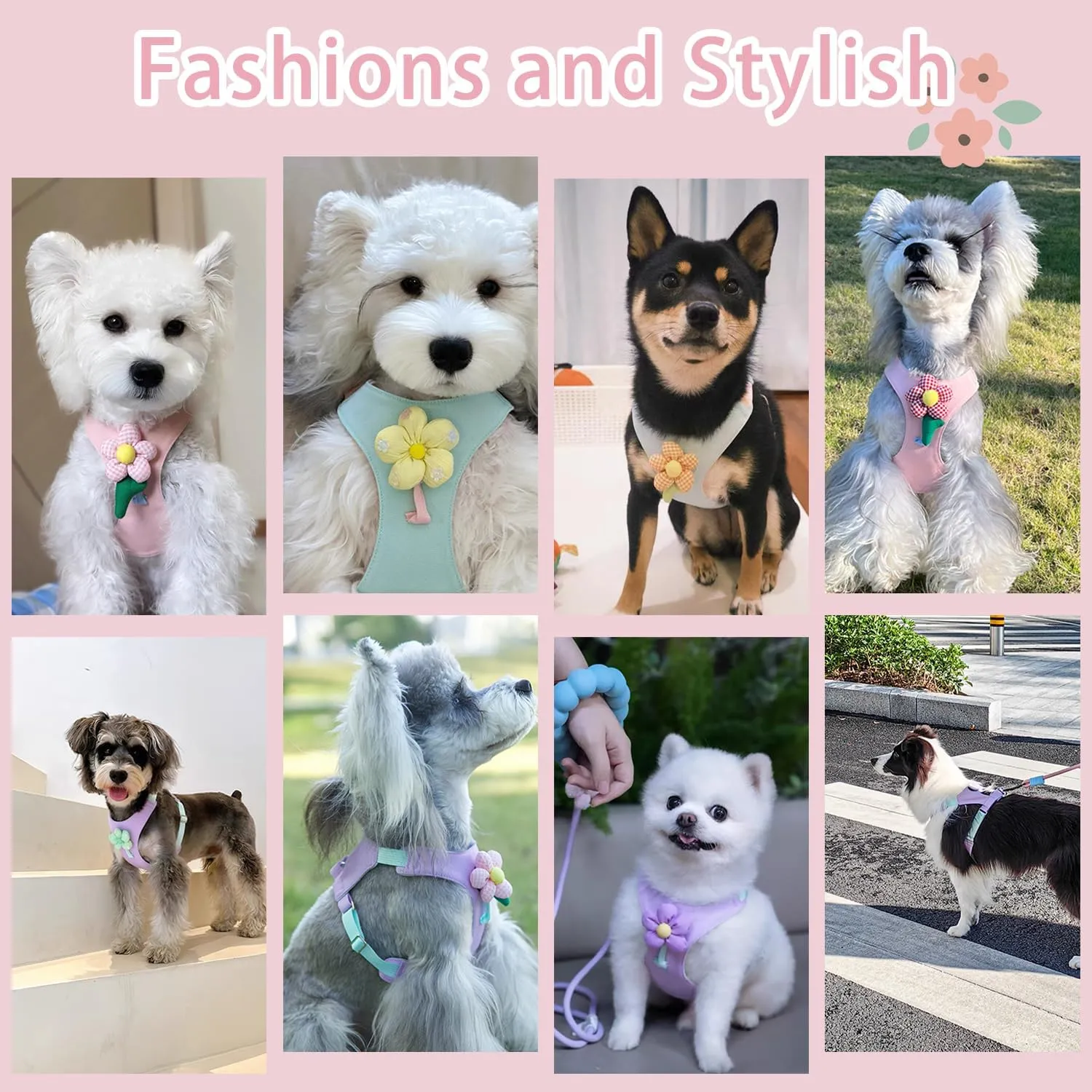 Dog Harness and Leash Set with 2 Flower Patches, No Pull Adjustable Puppy Harness, Step in No Chock Dog Vest for Small Medium Dogs Puppy and Cats(Purple, M)