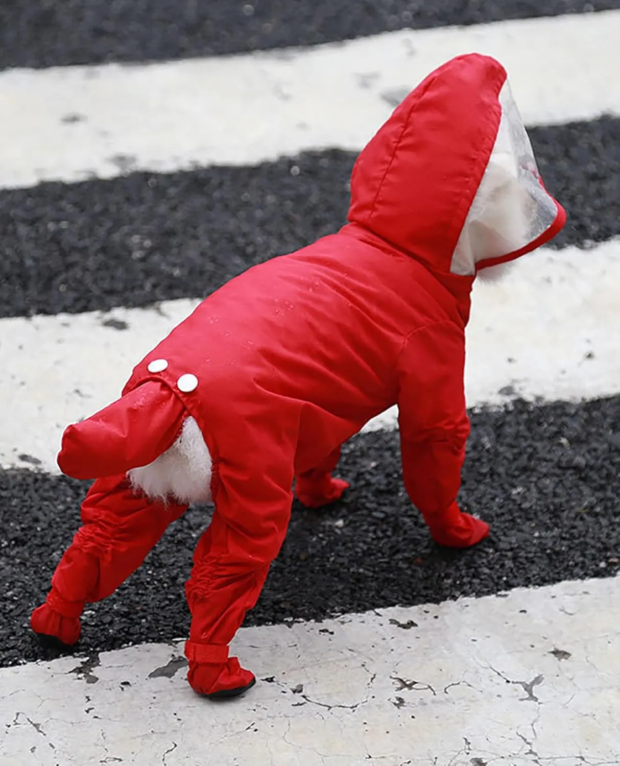 Dog Raincoat with Hood, Waterproof Full-Coverage Reflective Rain Jacket Quick-Drying Rain Poncho and Shoes for Small Medium Large Dogs,Dinosaur,L