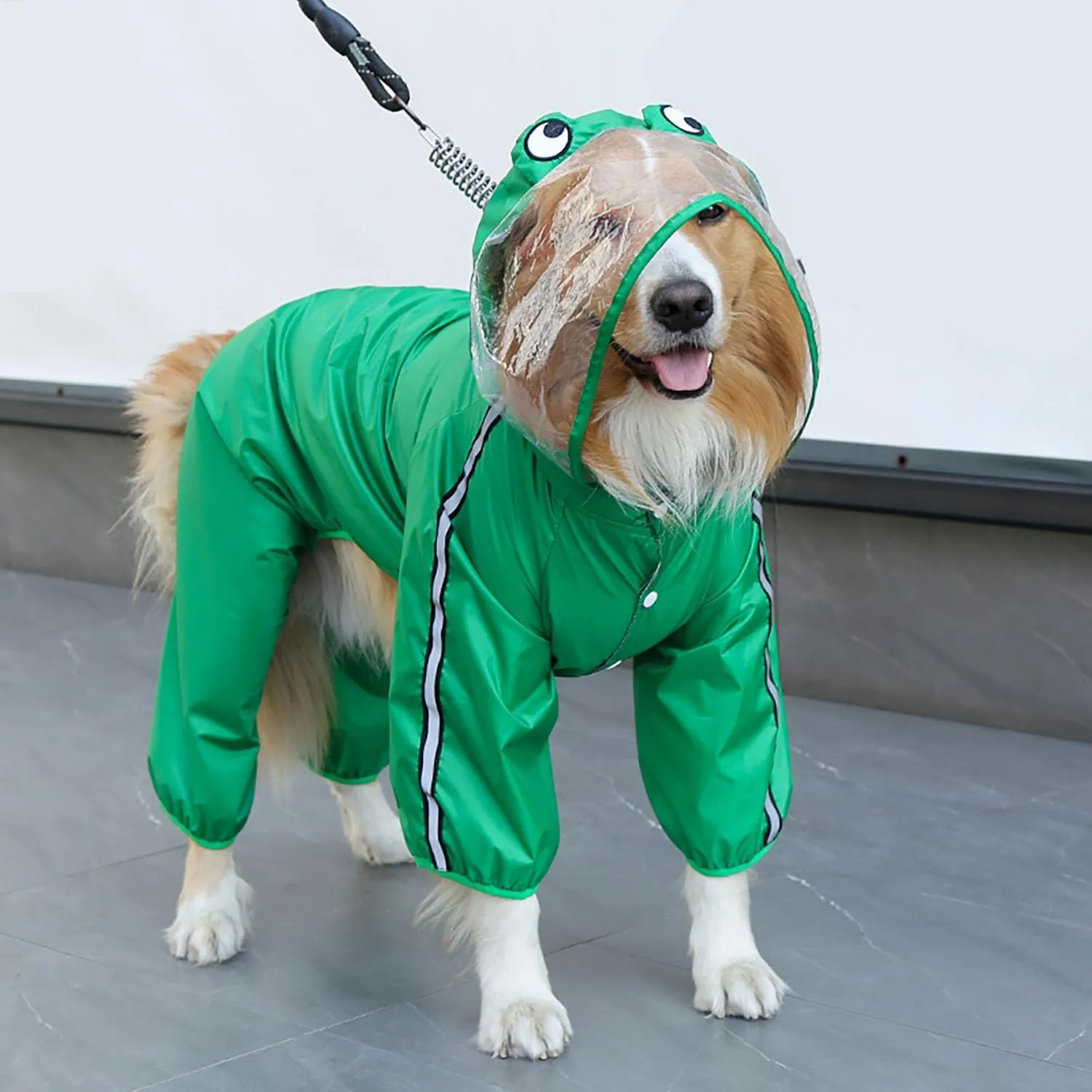 Dog Raincoat with Hood, Waterproof Full-Coverage Reflective Rain Jacket Quick-Drying Rain Poncho and Shoes for Small Medium Large Dogs,Frog,L