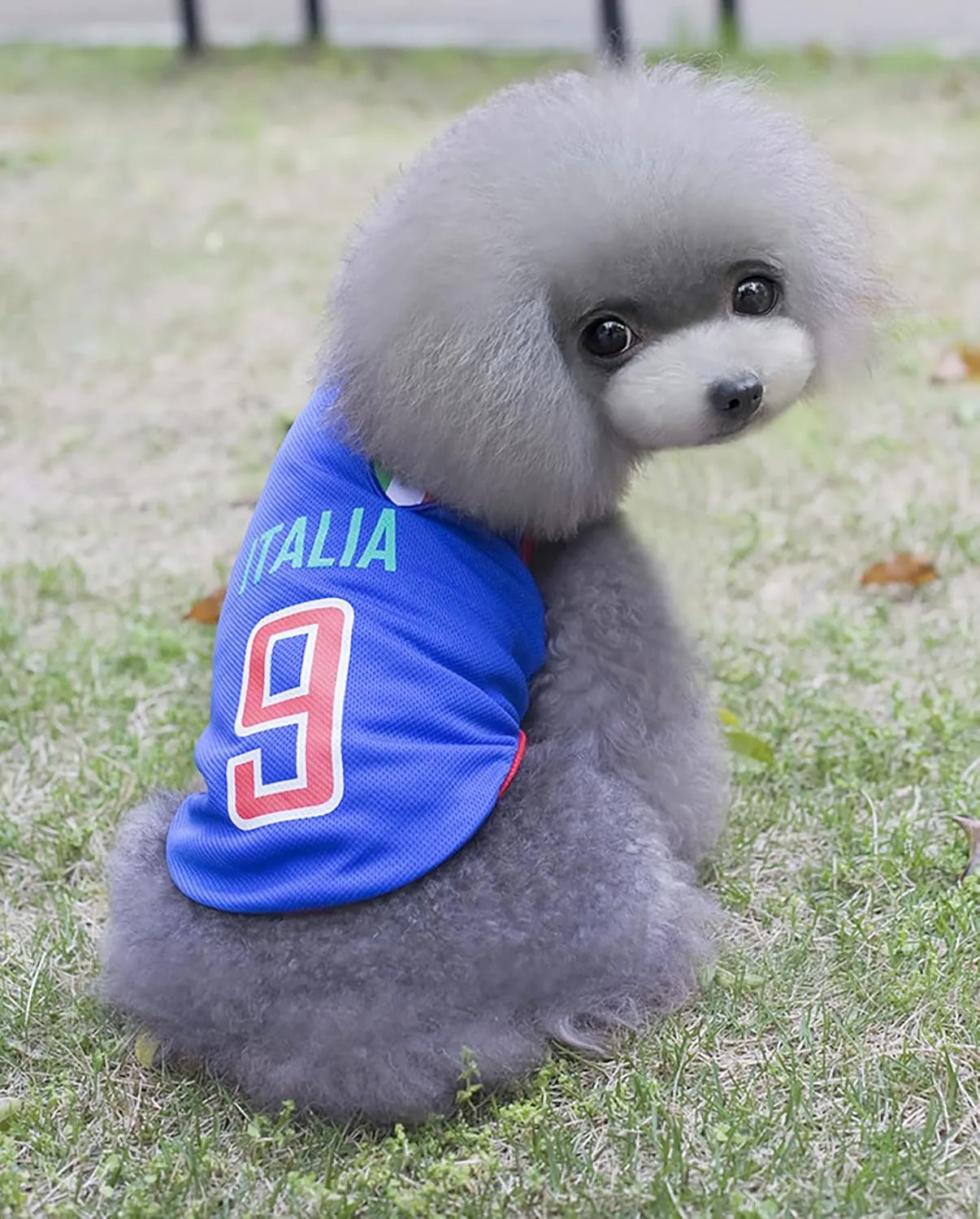 GabeFish Dog World Cup T Shirt Pets Football Jersey Sports Soccer National Team Vest Cat Summer Cool Clothes Apparel Italy X-Small