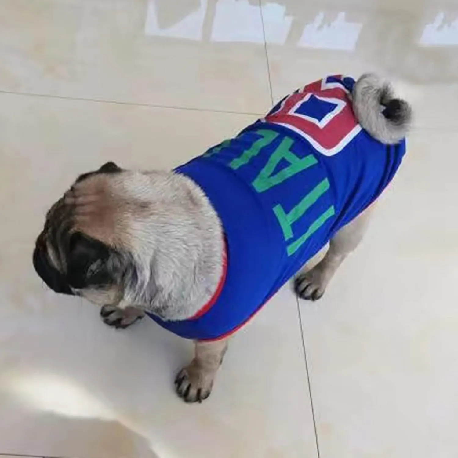 GabeFish Dog World Cup T Shirt Pets Football Jersey Sports Soccer National Team Vest Cat Summer Cool Clothes Apparel Italy X-Small