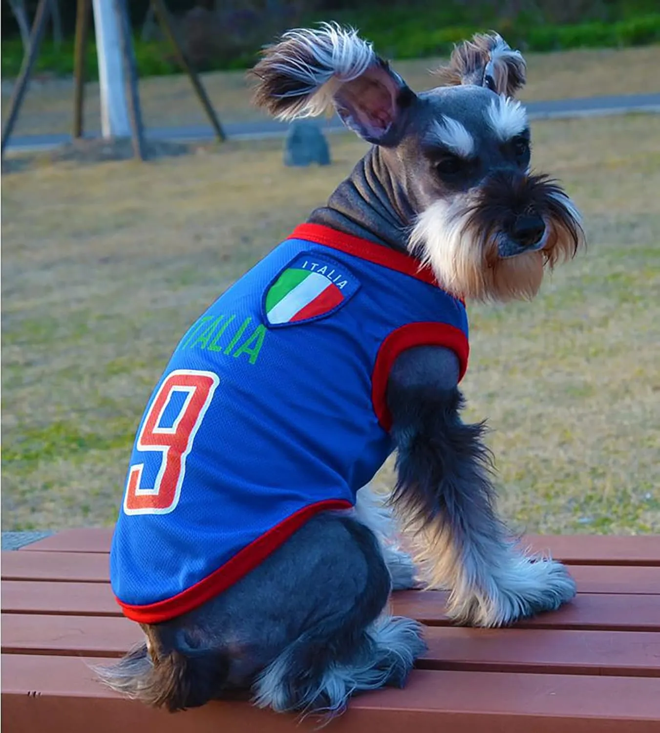 GabeFish Dog World Cup T Shirt Pets Football Jersey Sports Soccer National Team Vest Cat Summer Cool Clothes Apparel Italy X-Small