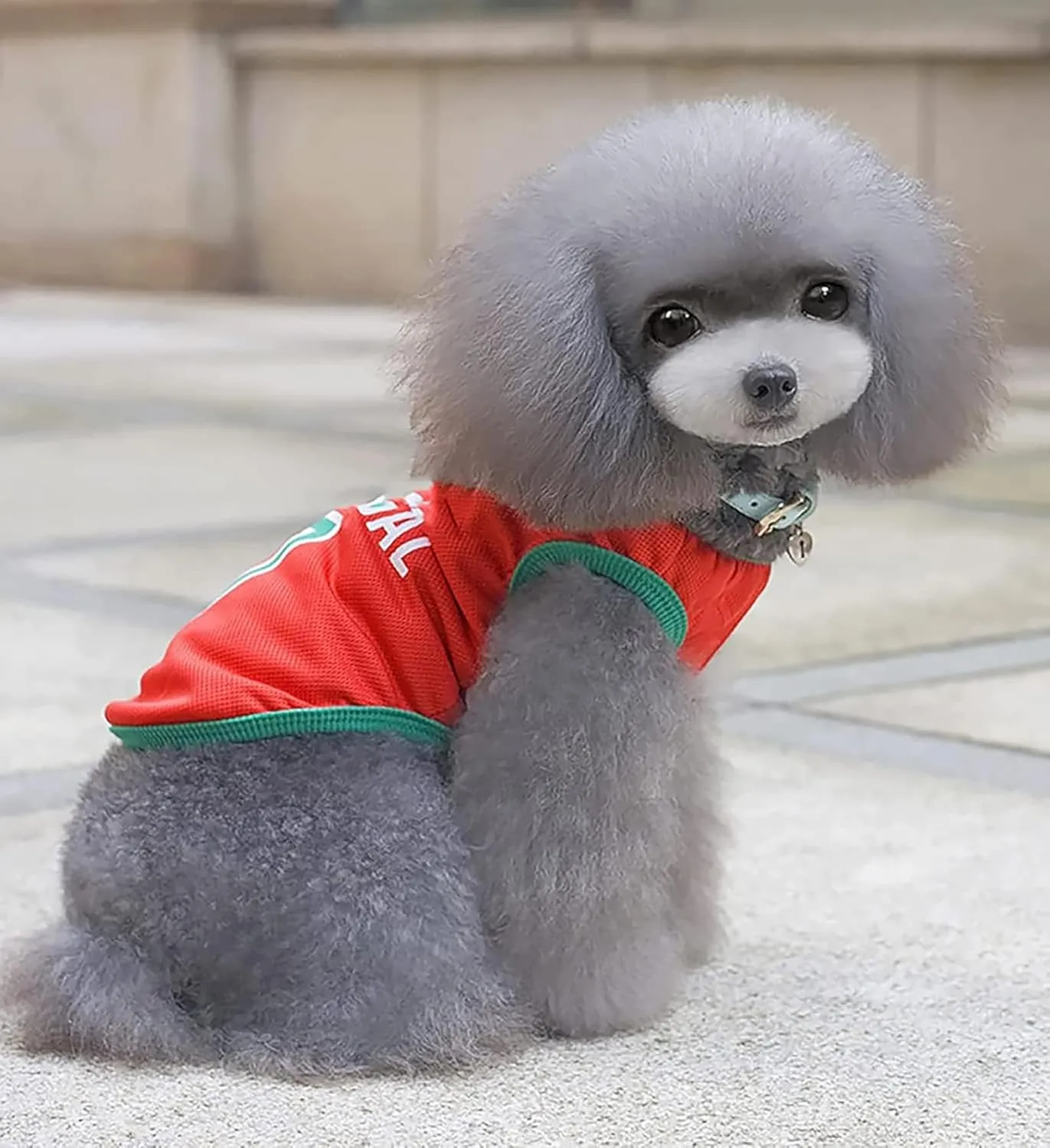 GabeFish Dog World Cup T Shirt Pets Football Jersey Sports Soccer National Team Vest Cat Summer Cool Clothes Apparel Portugal 2X-Large