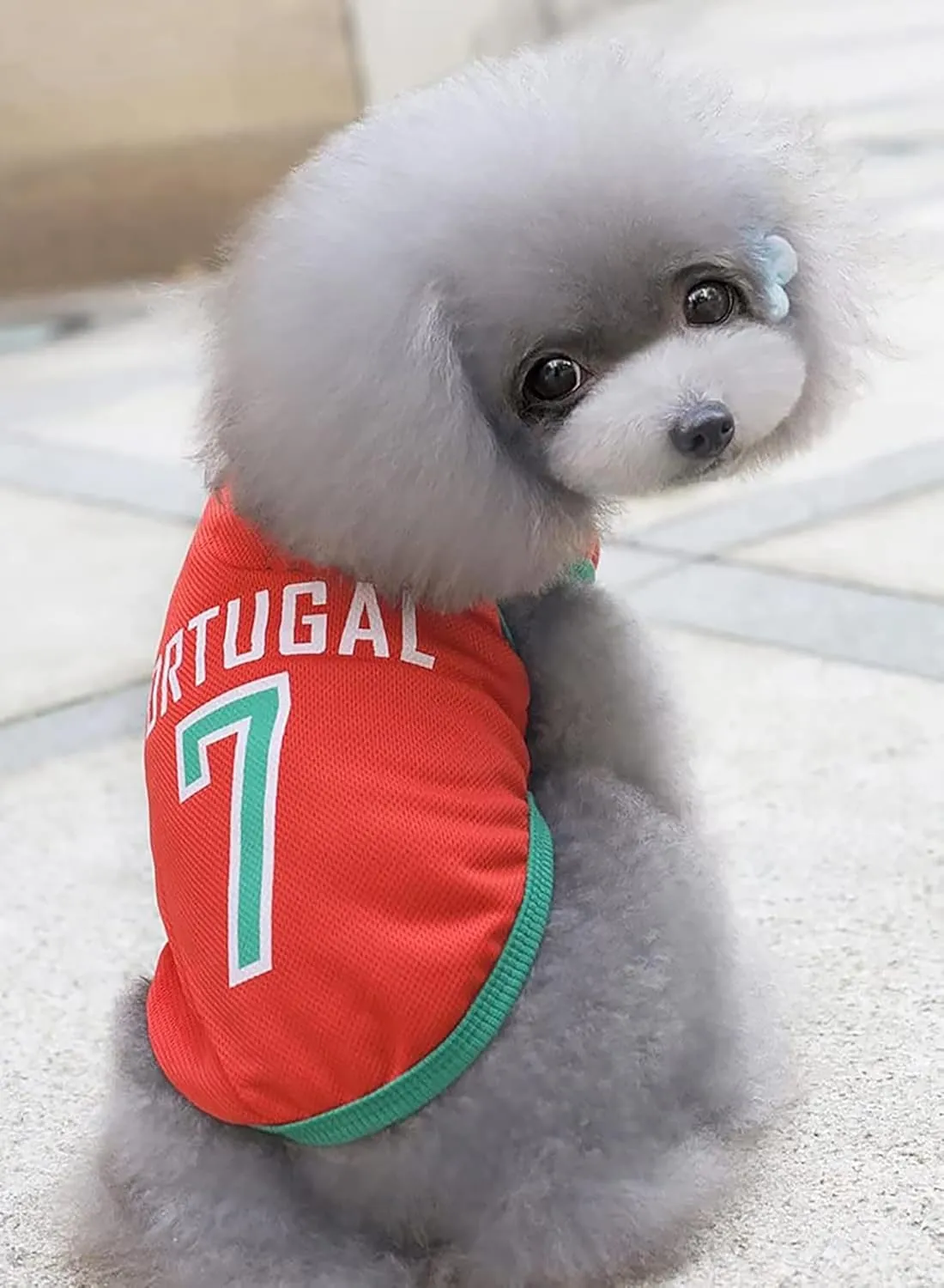 GabeFish Dog World Cup T Shirt Pets Football Jersey Sports Soccer National Team Vest Cat Summer Cool Clothes Apparel Portugal 2X-Large