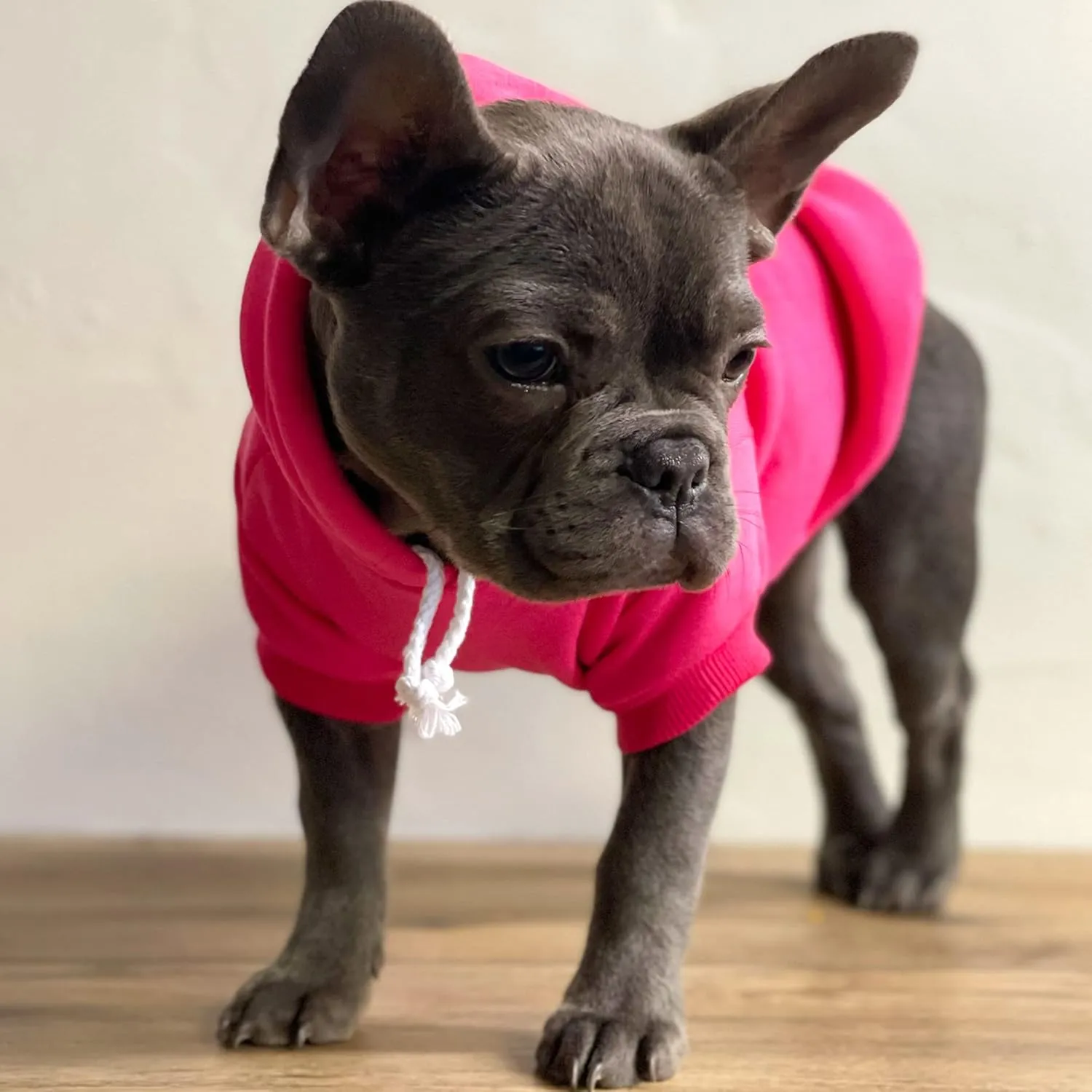 Game On Soccer Dog Hoodie Fleece Lined Pullover Sweatshirt with Leash Hole (Hot Pink, Large 1073)