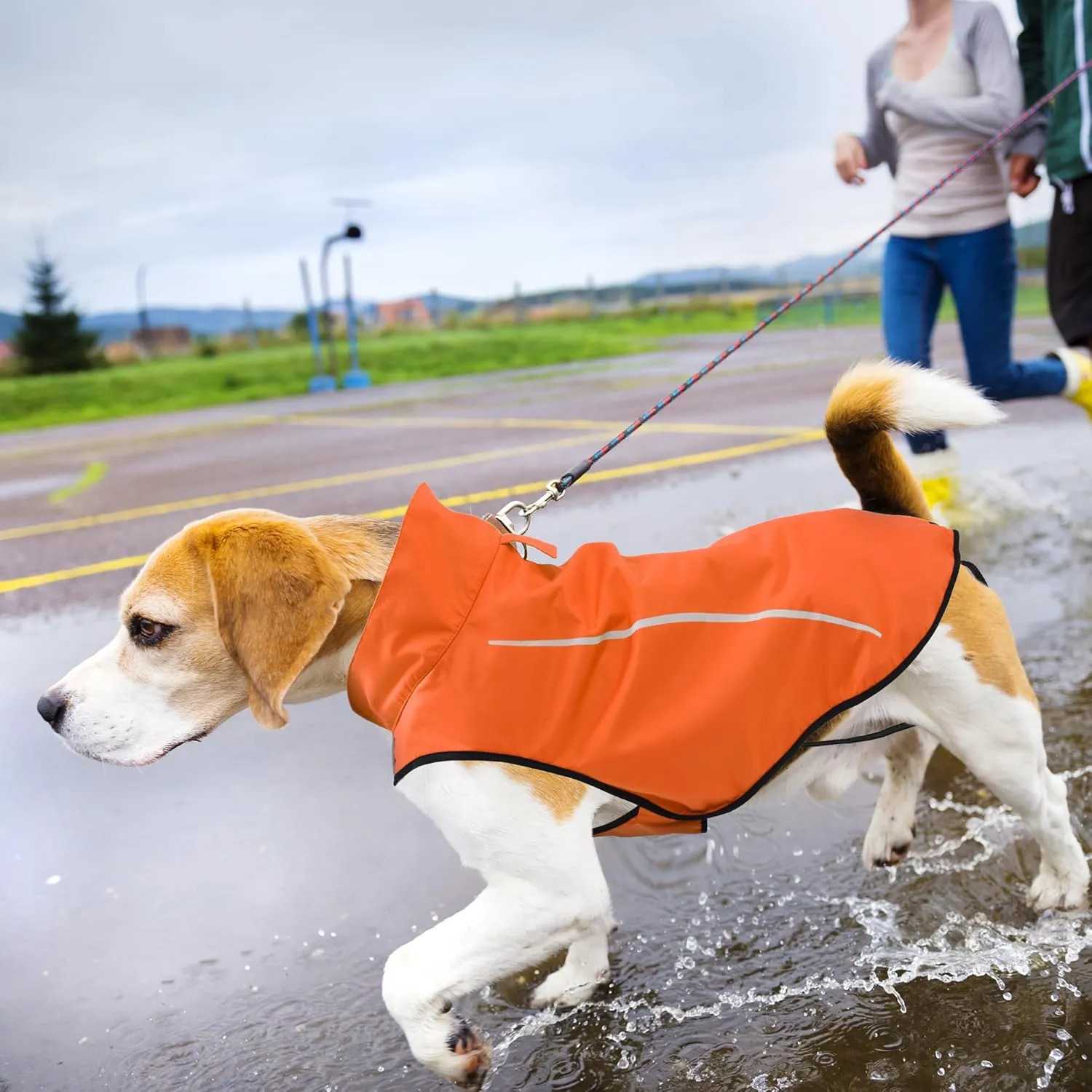 Mile High Life Dog Raincoat, Adjustable Waterproof Reflective Rain Jacket for Small Medium Large Dogs, Lightweight Breathable Pet Rain Coat with Leash Hole(Orange,M Chest 26-32")