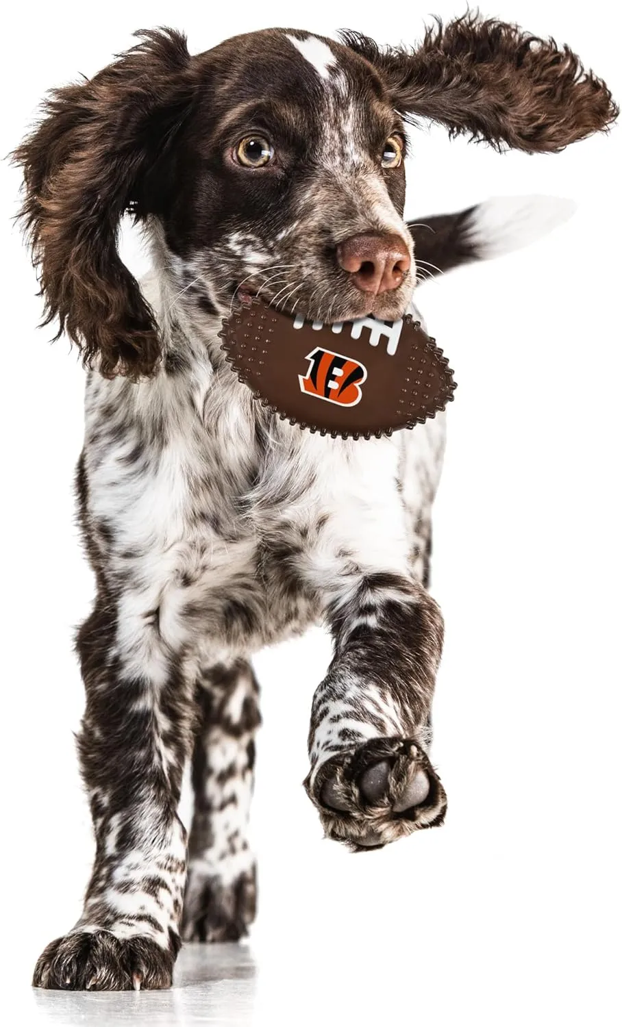 NFL Cincinnati Bengals Bacon-Flavored Dog Bone Football Chew Toy - Indestructible, Strong, Durable Toy for Aggressive Chewers