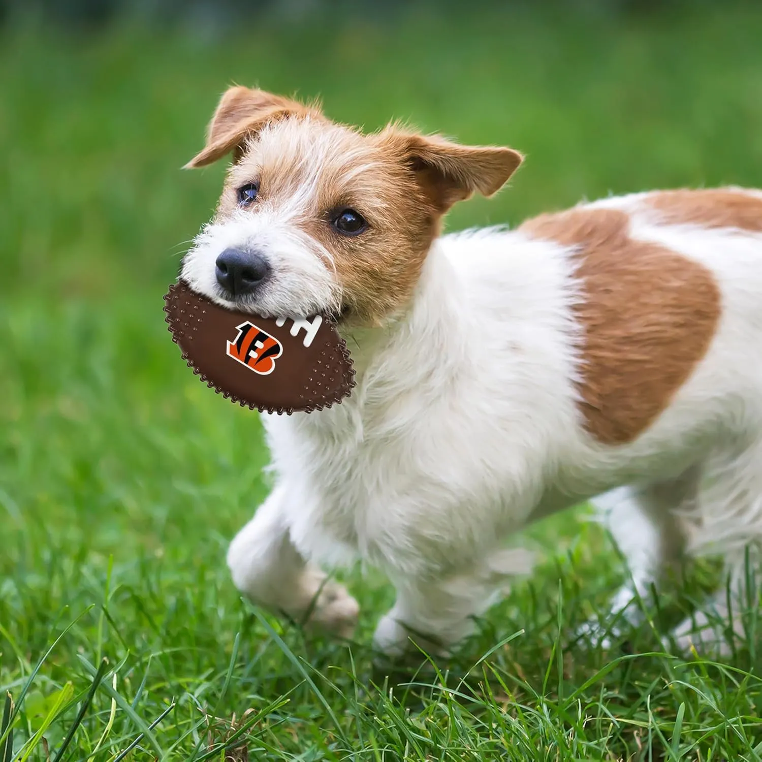 NFL Cincinnati Bengals Bacon-Flavored Dog Bone Football Chew Toy - Indestructible, Strong, Durable Toy for Aggressive Chewers