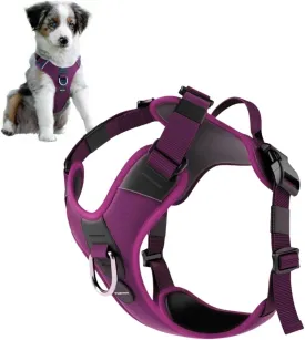 No Pull Dog Harness - Durable Polyester Puppy Harness with Front Anti-Pull Loop, Reflective Strips, and Quick-Release Clips for Small, Medium, and Large Dogs (Berry Purple, Medium)