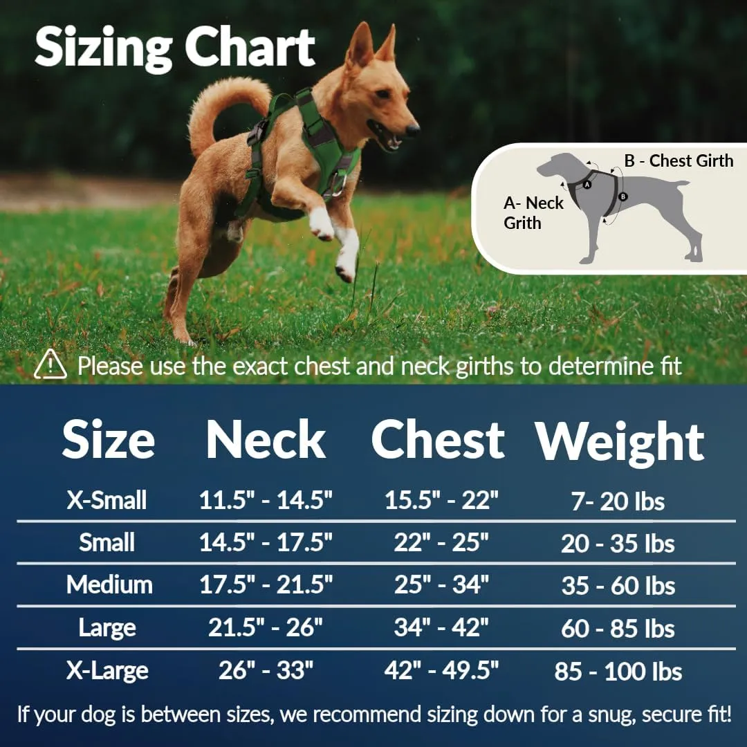 No Pull Dog Harness - Durable Polyester Puppy Harness with Front Anti-Pull Loop, Reflective Strips, and Quick-Release Clips for Small, Medium, and Large Dogs (Berry Purple, Medium)