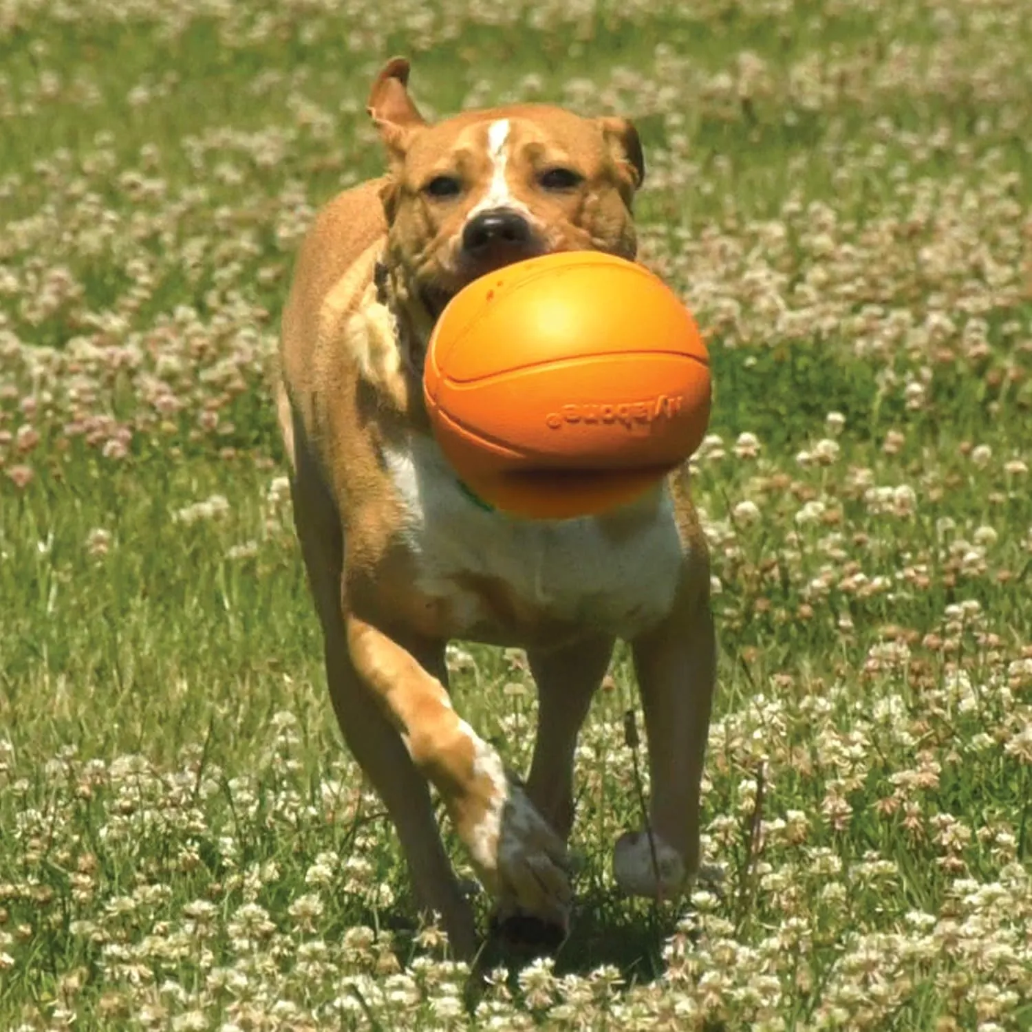 Nylabone Power Play Gripz Felt Basketball Rubber Fetch Toy, Squeaky Ball for Dogs, Medium (1 Count)