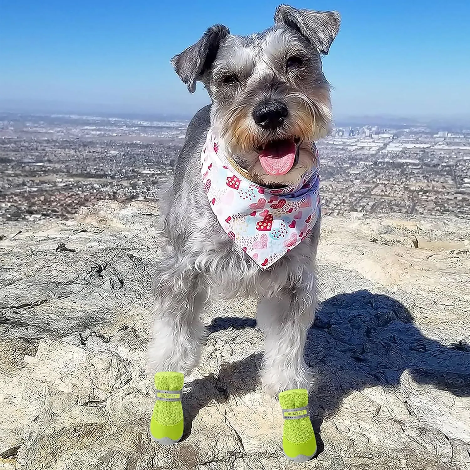 QUMY 4PCS Dog Shoes for Small Dogs, Hot Pavement Summer Puppy Dog Boots & Paw Protectors with Soft Anti-Slip Rubber Sole, Mesh Breathable Dog Booties for Hardfloors, Walking Running