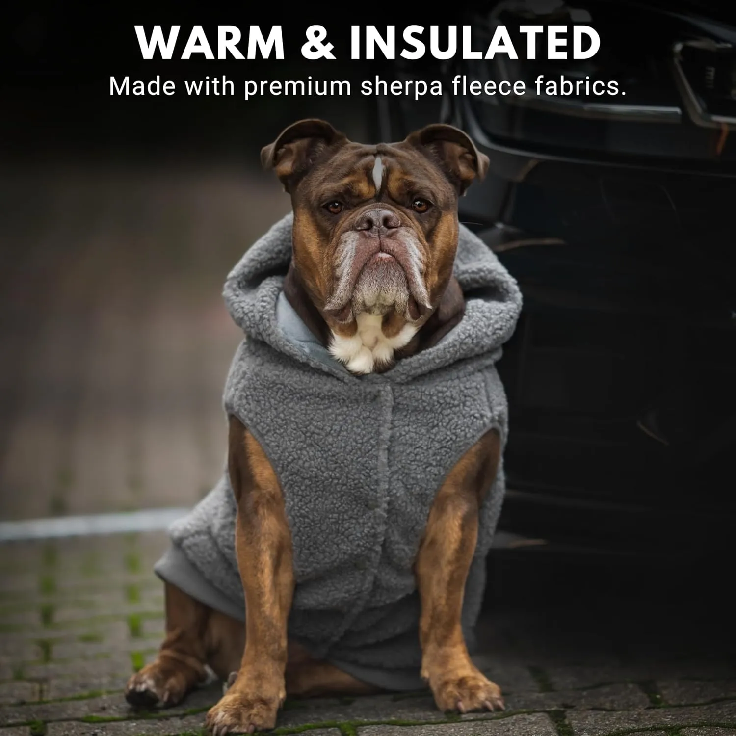 Spark Paws Teddy Dog Sweater - Sherpa Hooded Vest with Warm Fleece Lining, Winter Coat Suitable for Small Medium Large XL XXL Breeds - Grey - M