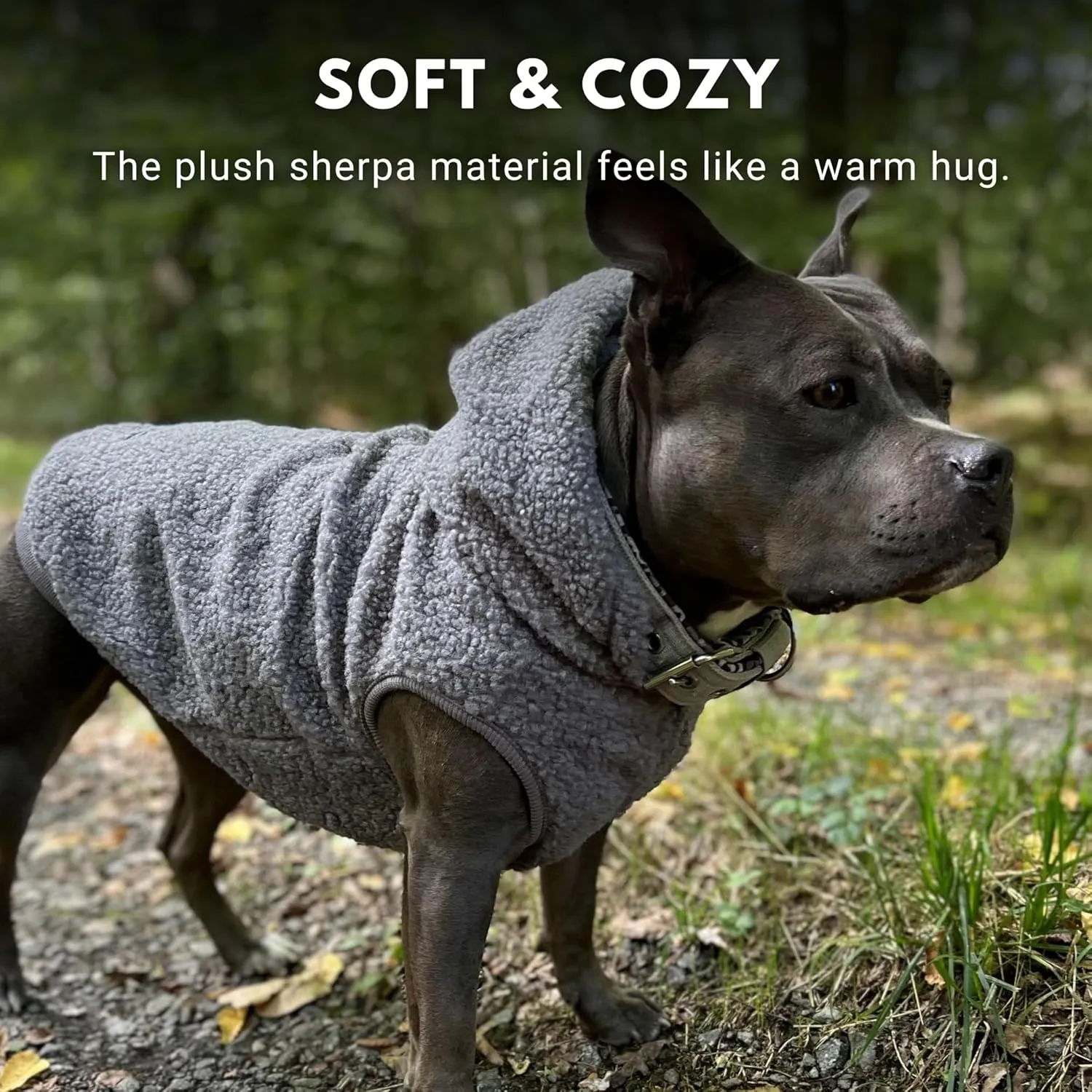 Spark Paws Teddy Dog Sweater - Sherpa Hooded Vest with Warm Fleece Lining, Winter Coat Suitable for Small Medium Large XL XXL Breeds - Grey - M