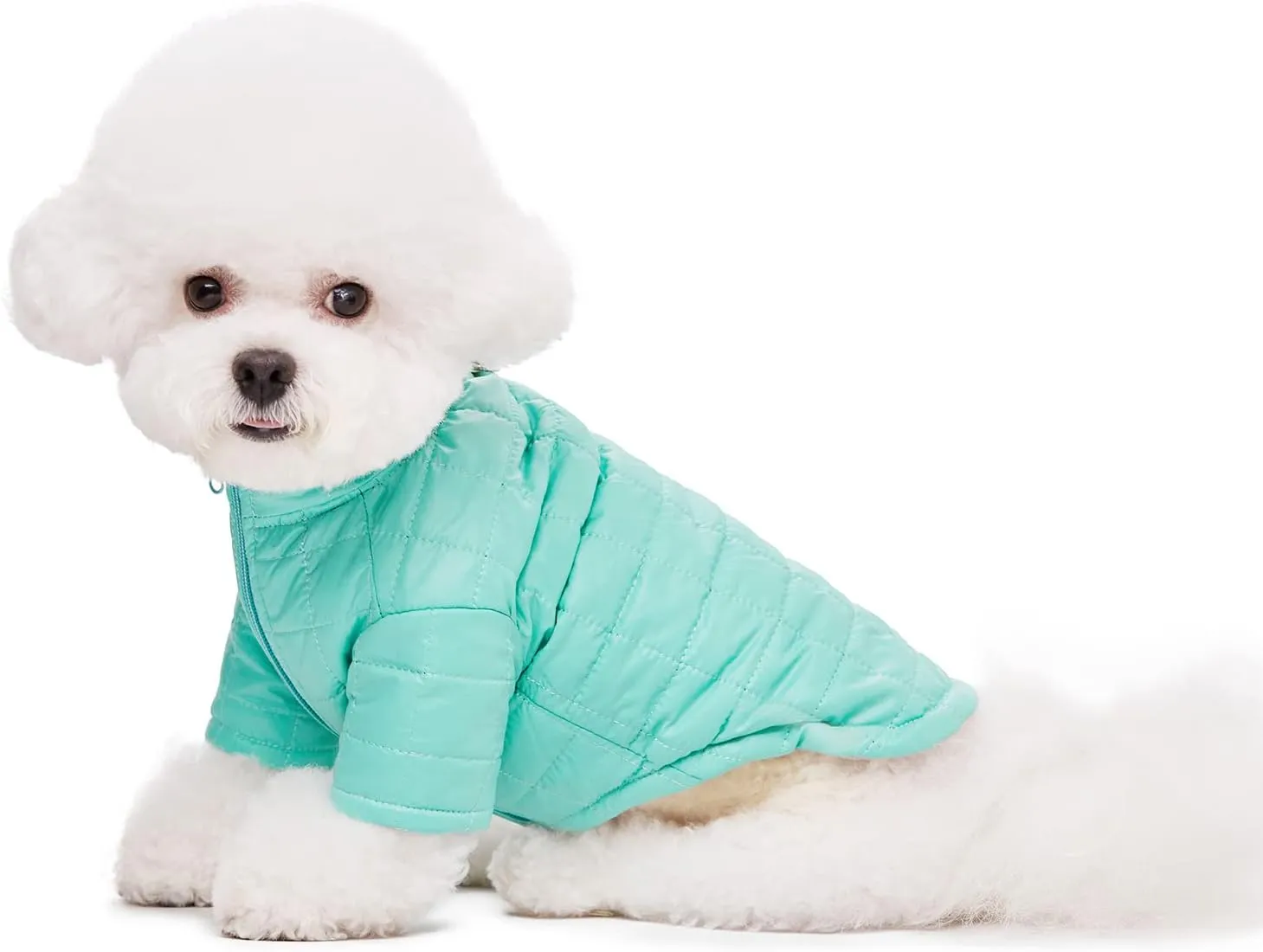 Winter Small Medium Dog Coat Windproof, High Collar Dog Jacket Cotton-Padded for Puppy, Cat, Doggie Pets Clothing with Zipper and D Ring