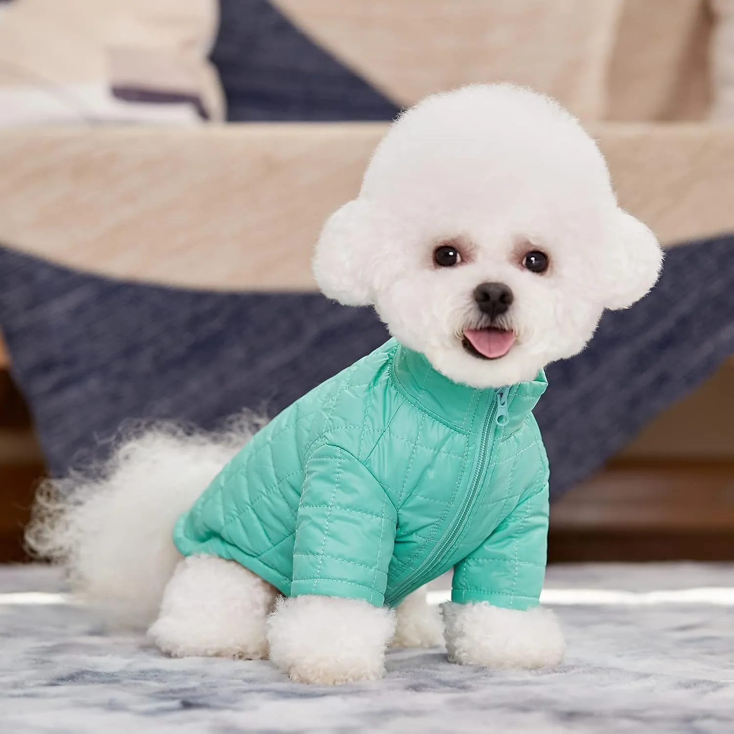Winter Small Medium Dog Coat Windproof, High Collar Dog Jacket Cotton-Padded for Puppy, Cat, Doggie Pets Clothing with Zipper and D Ring